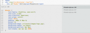 Adobe Bracket - inline code - nextflow.in.th