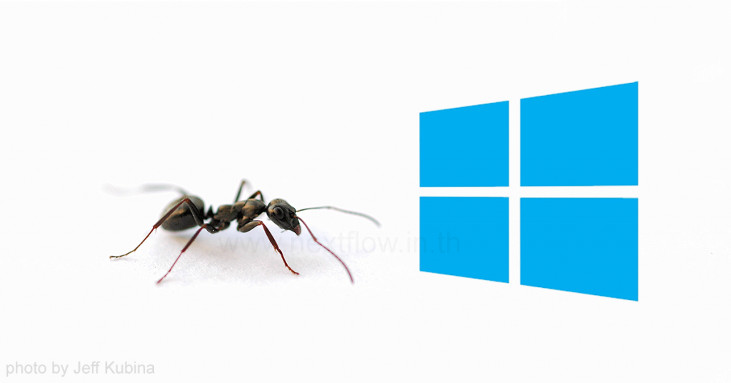 Ant-and-Windows