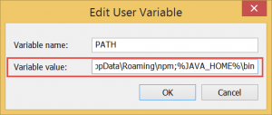 Edit User Variables