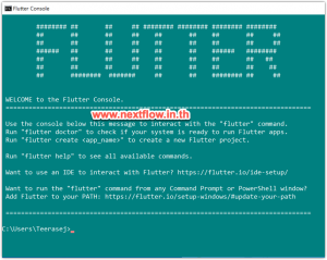 Google Flutter console from SDK