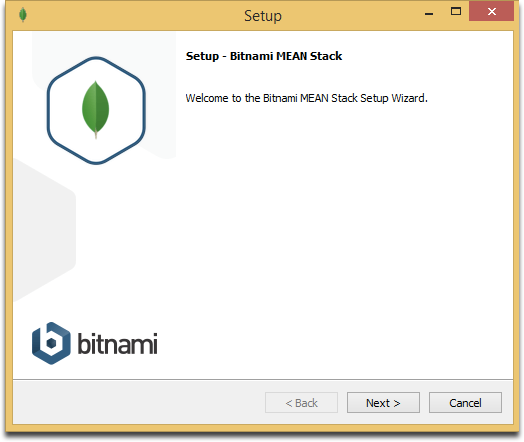 deploying app on bitnami mean
