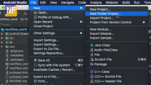 Google Flutter Create Project Android Studio with File Menu