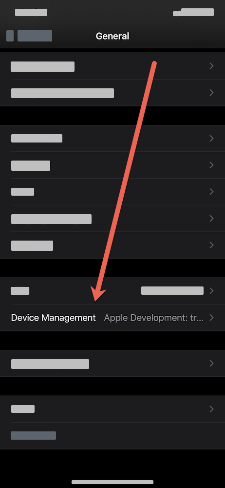 iOS App trusted by user on setting 2