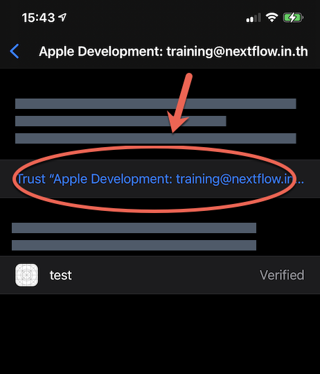 iOS App trusted by user on setting 4
