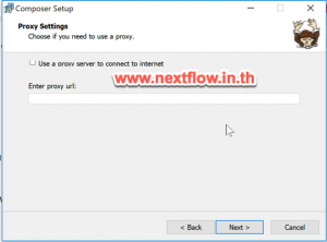 install php composer setup proxy